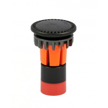 Testina colibrì 360°