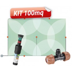 Kit Colibrì 100mq