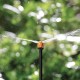 Microirrigatore a striscia (10 pz)
