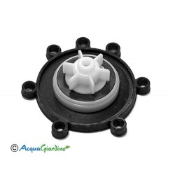 Diaphragm