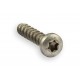 Vis 3x10 torx programmeur