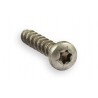 Vite 3x10 torx programmatori